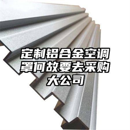定制铝合金空调罩何故要去采购大公司
